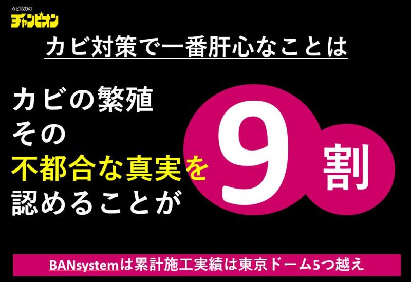 株式会社ビッグホワイのサブ写真２